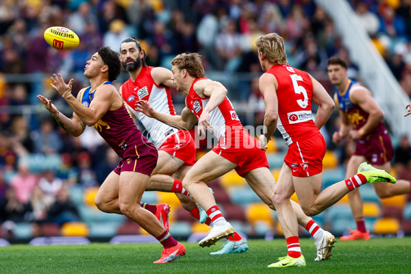 AFL 2025 Round 22 - Brisbane v Sydney - A-61201846