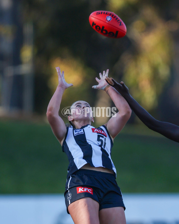 VFLW 2025 Qualifying Final - North Melbourne Werribee v Collingwood - A-61206750