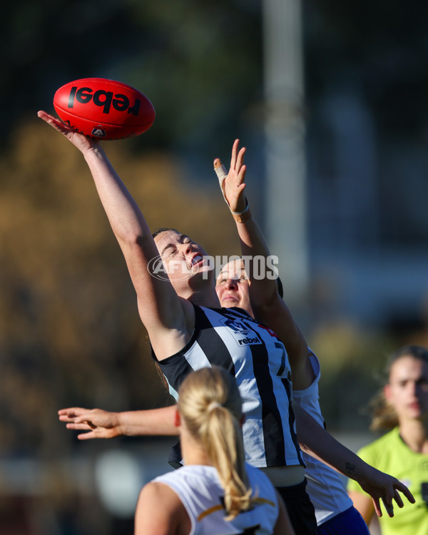 VFLW 2025 Qualifying Final - North Melbourne Werribee v Collingwood - A-61206755