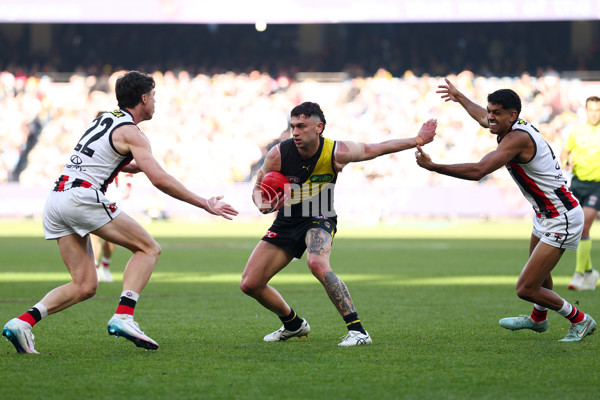 AFL 2025 Round 22 - Richmond v St Kilda - A-61207028