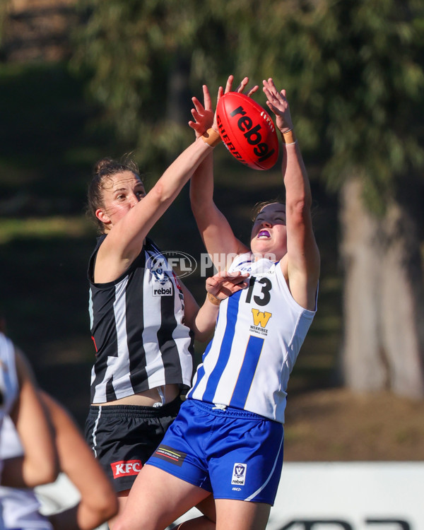 VFLW 2025 Qualifying Final - North Melbourne Werribee v Collingwood - A-61207053