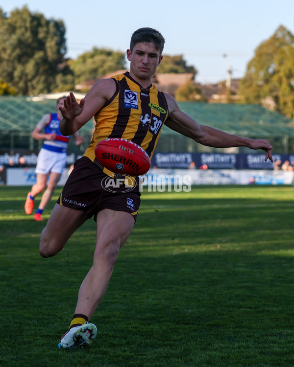 VFL 2025 Round 20 - Box Hill v Footscray - A-61209766