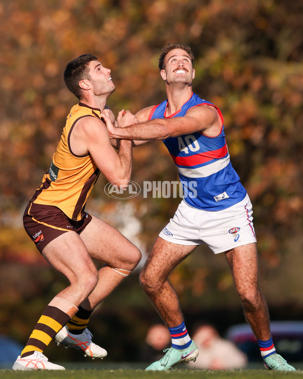 VFL 2025 Round 20 - Box Hill v Footscray - A-61219727
