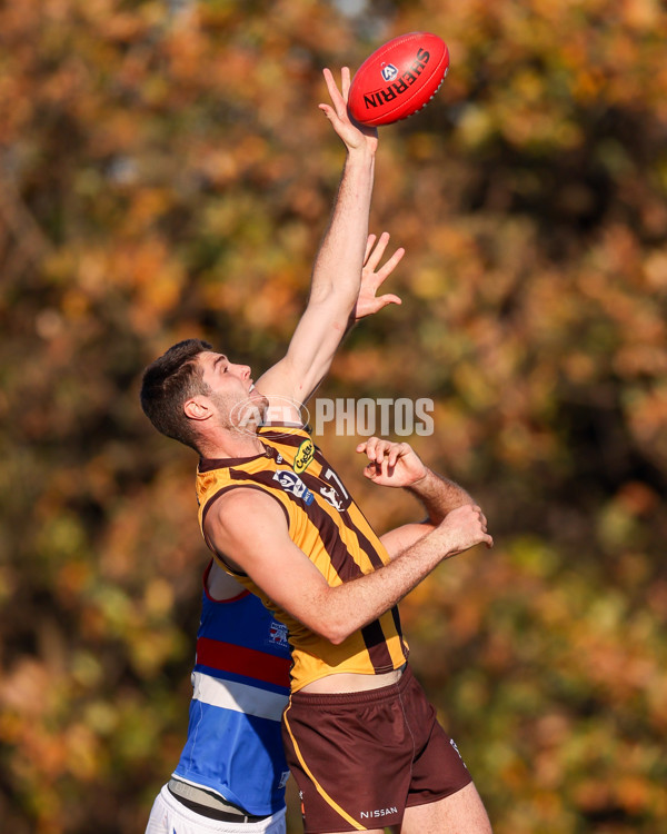 VFL 2025 Round 20 - Box Hill v Footscray - A-61220427
