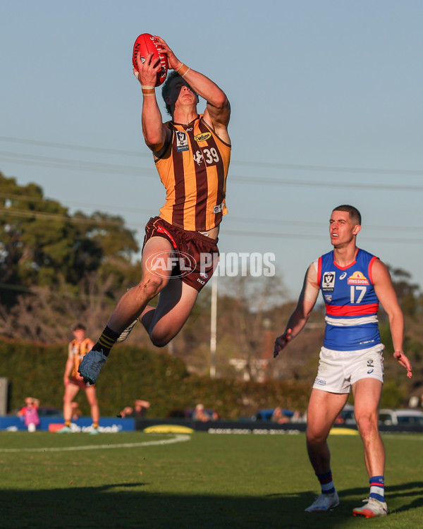 VFL 2025 Round 20 - Box Hill v Footscray - A-61225002