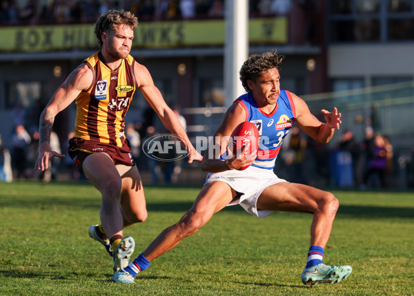 VFL 2025 Round 20 - Box Hill v Footscray - A-61225093