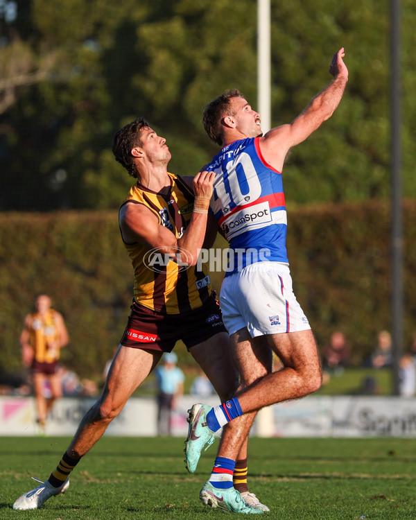 VFL 2025 Round 20 - Box Hill v Footscray - A-61225099