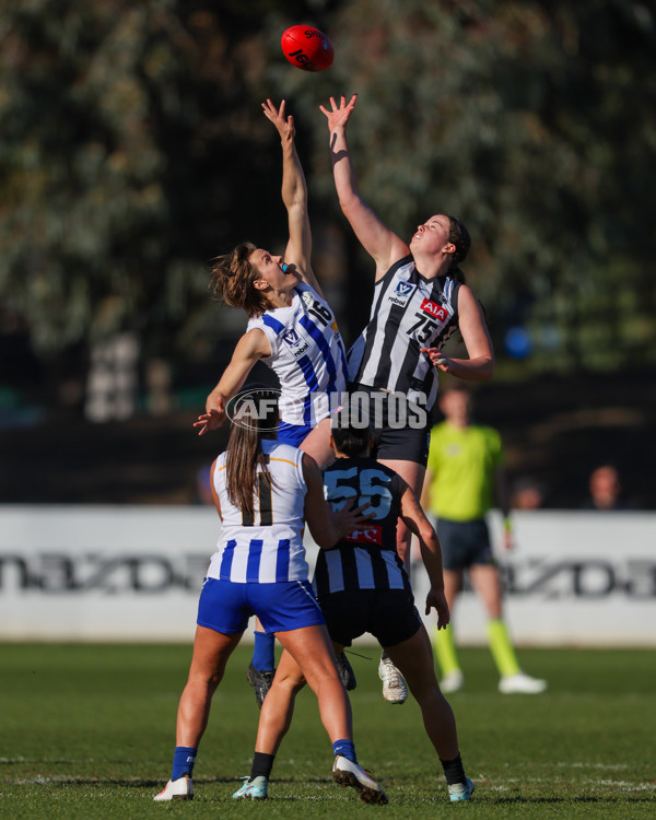 VFLW 2025 Qualifying Final - North Melbourne Werribee v Collingwood - A-61227358