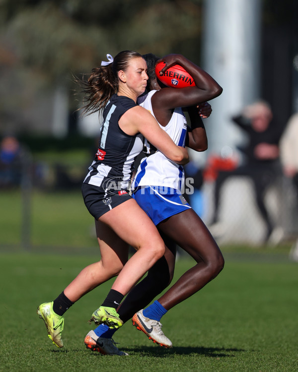VFLW 2025 Qualifying Final - North Melbourne Werribee v Collingwood - A-61227359