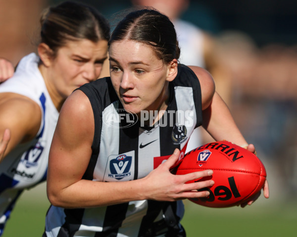 VFLW 2025 Qualifying Final - North Melbourne Werribee v Collingwood - A-61227386