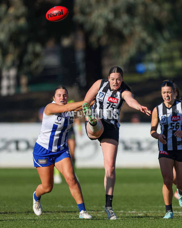 VFLW 2025 Qualifying Final - North Melbourne Werribee v Collingwood - A-61228042