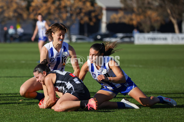 VFLW 2025 Qualifying Final - North Melbourne Werribee v Collingwood - A-61228044