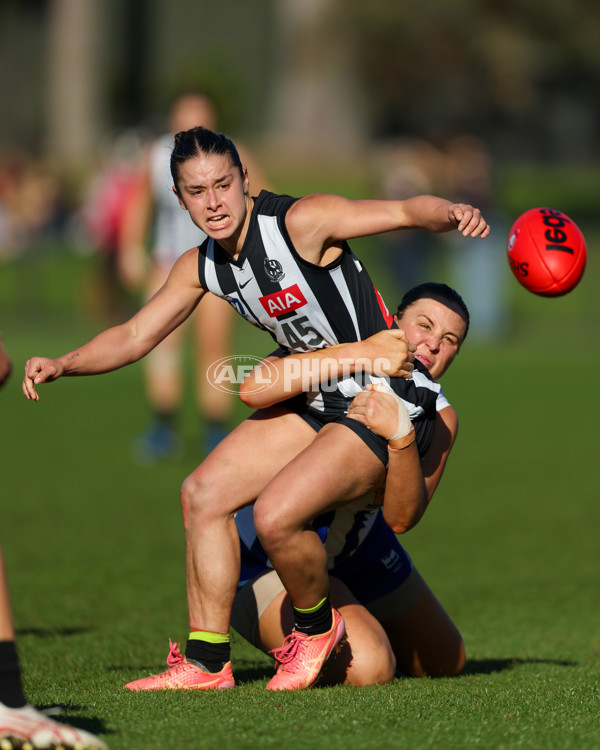 VFLW 2025 Qualifying Final - North Melbourne Werribee v Collingwood - A-61228062