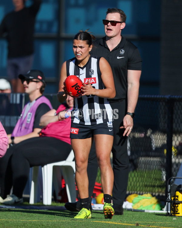 VFLW 2025 Qualifying Final - North Melbourne Werribee v Collingwood - A-61228063