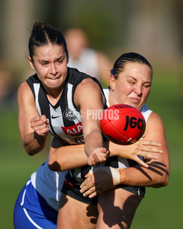 VFLW 2025 Qualifying Final - North Melbourne Werribee v Collingwood - A-61228064