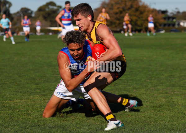 VFL 2025 Round 20 - Box Hill v Footscray - A-61229929