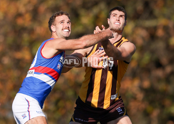 VFL 2025 Round 20 - Box Hill v Footscray - A-61230581