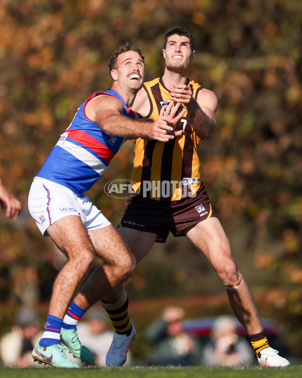 VFL 2025 Round 20 - Box Hill v Footscray - A-61230583