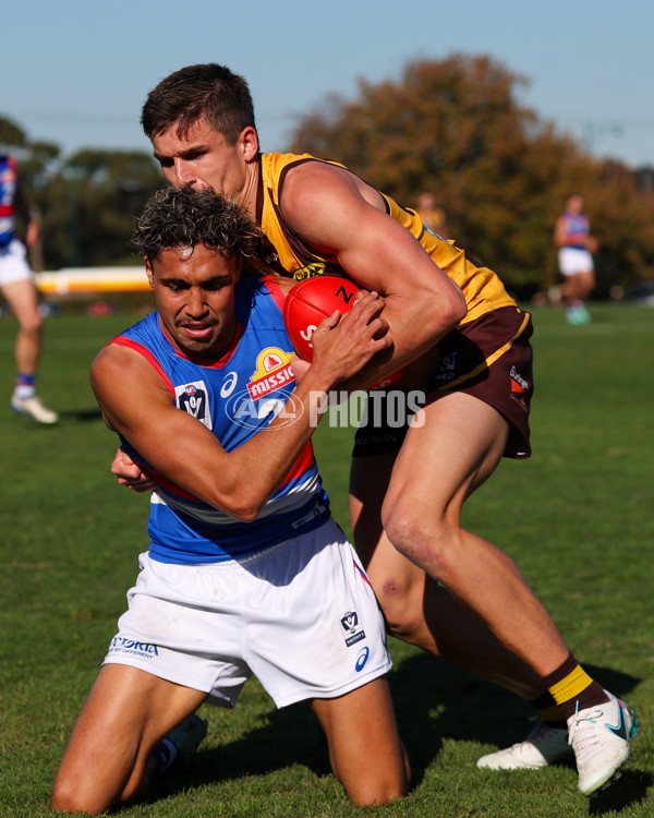 VFL 2025 Round 20 - Box Hill v Footscray - A-61230608