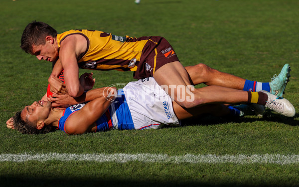 VFL 2025 Round 20 - Box Hill v Footscray - A-61230609