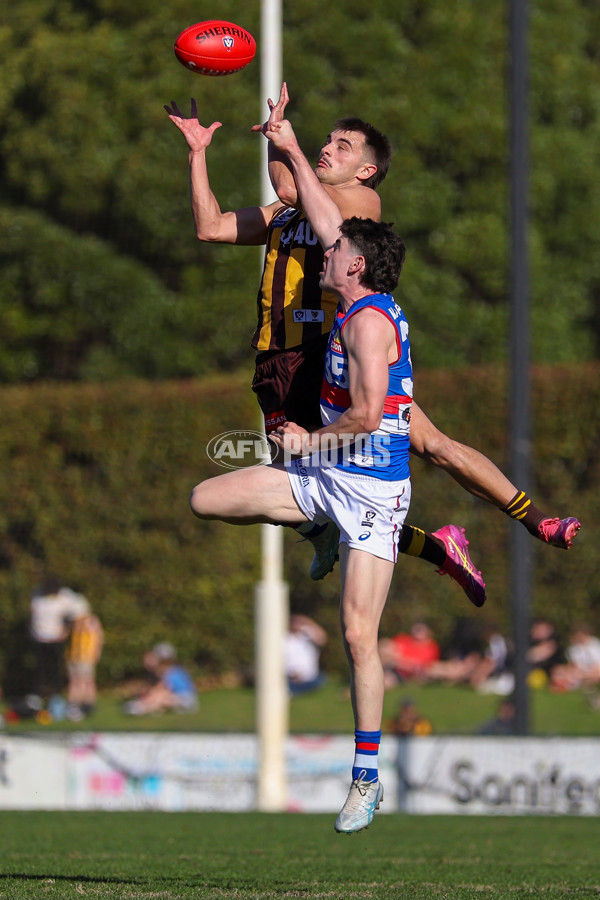 VFL 2025 Round 20 - Box Hill v Footscray - A-61232660