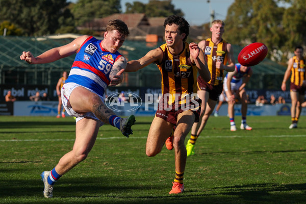 VFL 2025 Round 20 - Box Hill v Footscray - A-61233315