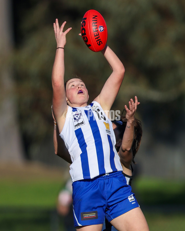 VFLW 2025 Qualifying Final - North Melbourne Werribee v Collingwood - A-61233330