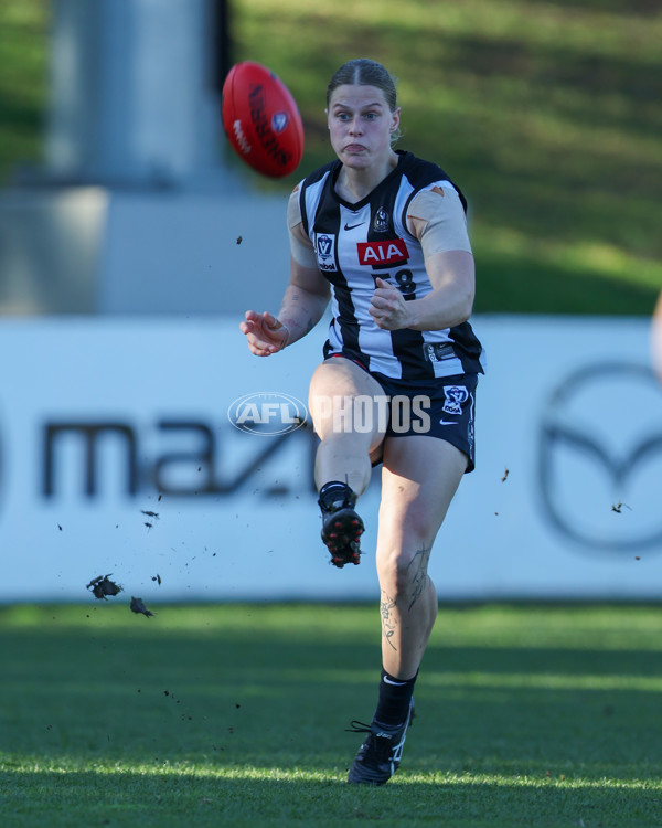 VFLW 2025 Qualifying Final - North Melbourne Werribee v Collingwood - A-61234791