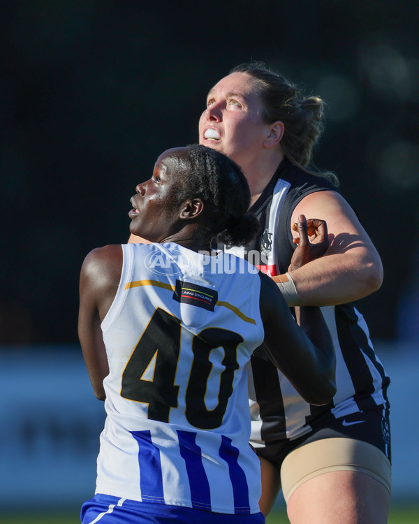 VFLW 2025 Qualifying Final - North Melbourne Werribee v Collingwood - A-61234794