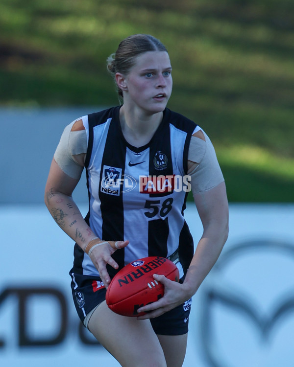 VFLW 2025 Qualifying Final - North Melbourne Werribee v Collingwood - A-61234795