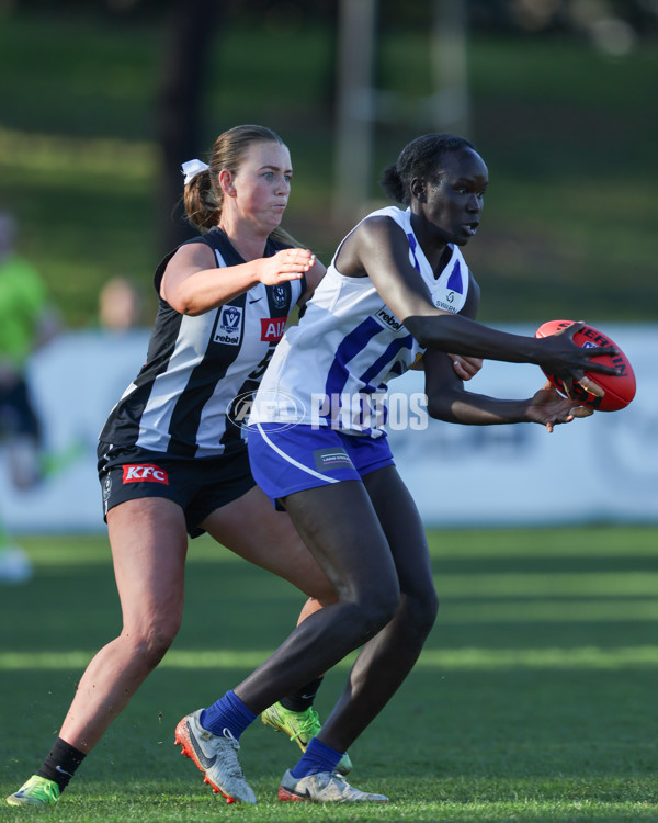 VFLW 2025 Qualifying Final - North Melbourne Werribee v Collingwood - A-61234799