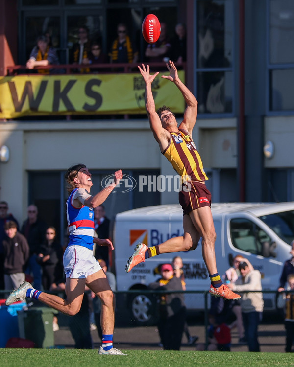 VFL 2025 Round 20 - Box Hill v Footscray - A-61234838