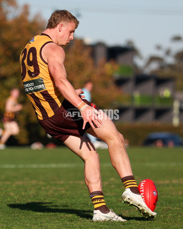 VFL 2025 Round 20 - Box Hill v Footscray - A-61234840