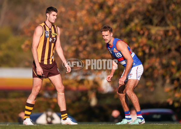 VFL 2025 Round 20 - Box Hill v Footscray - A-61234866