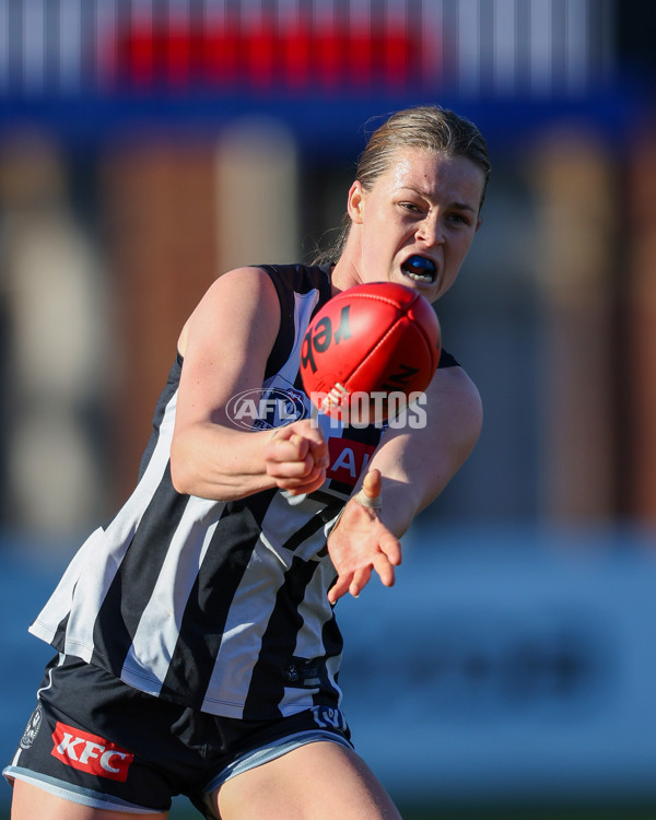 VFLW 2025 Qualifying Final - North Melbourne Werribee v Collingwood - A-61234882