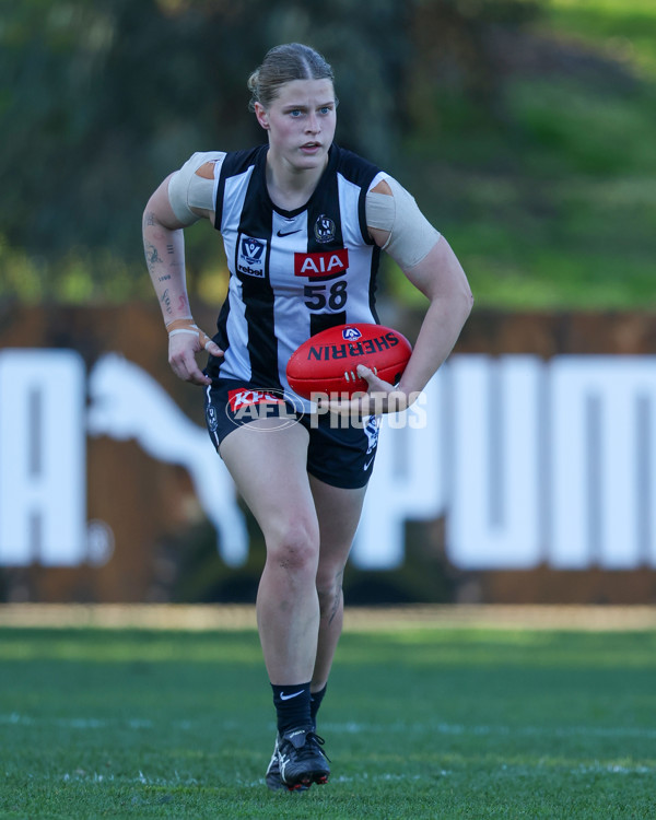 VFLW 2025 Qualifying Final - North Melbourne Werribee v Collingwood - A-61234883