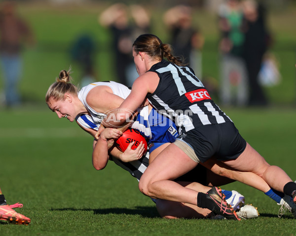 VFLW 2025 Qualifying Final - North Melbourne Werribee v Collingwood - A-61234884