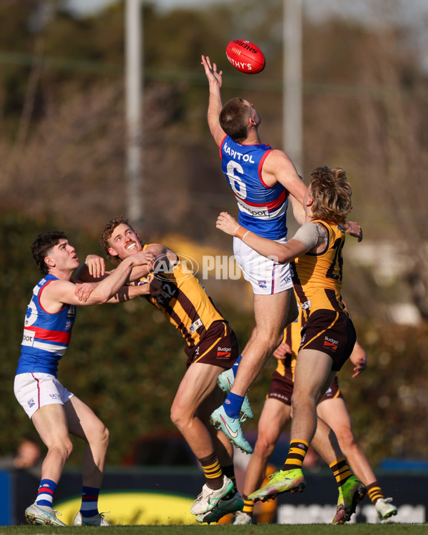 VFL 2025 Round 20 - Box Hill v Footscray - A-61236003