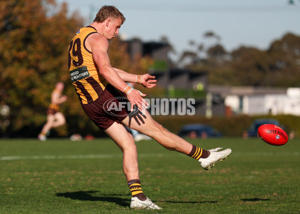 VFL 2025 Round 20 - Box Hill v Footscray - A-61236004