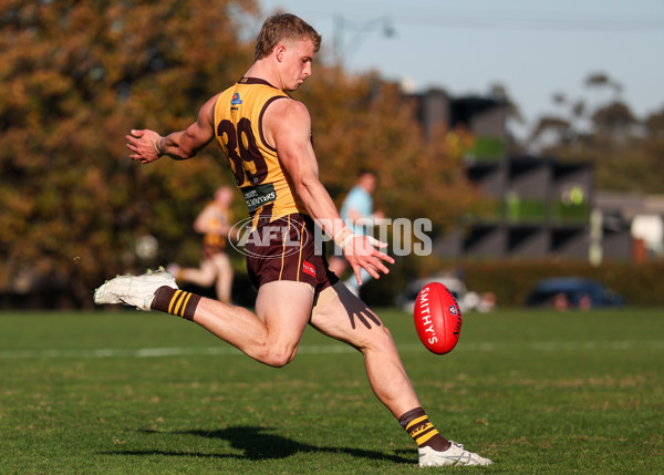 VFL 2025 Round 20 - Box Hill v Footscray - A-61236005
