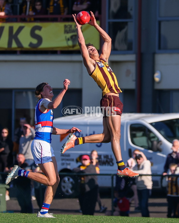 VFL 2025 Round 20 - Box Hill v Footscray - A-61236006