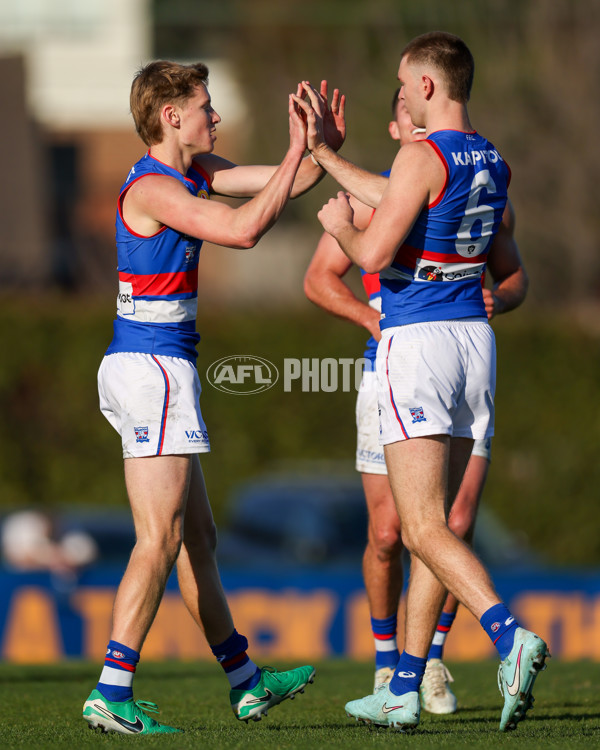 VFL 2025 Round 20 - Box Hill v Footscray - A-61236034