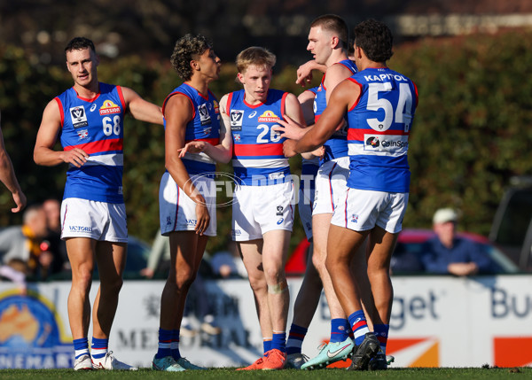 VFL 2025 Round 20 - Box Hill v Footscray - A-61236041