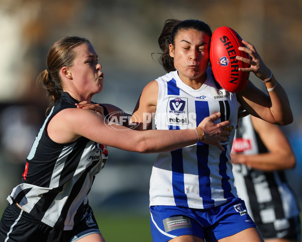 VFLW 2025 Qualifying Final - North Melbourne Werribee v Collingwood - A-61236050