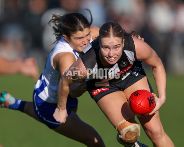 VFLW 2025 Qualifying Final - North Melbourne Werribee v Collingwood - A-61238331