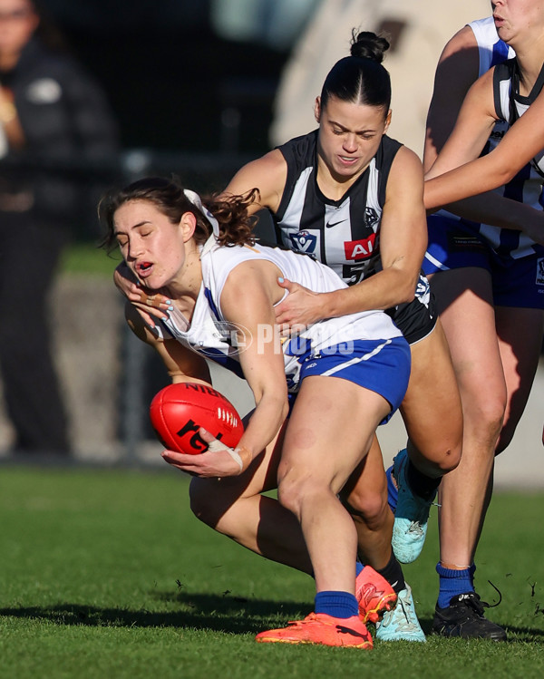 VFLW 2025 Qualifying Final - North Melbourne Werribee v Collingwood - A-61238332