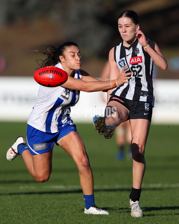 VFLW 2025 Qualifying Final - North Melbourne Werribee v Collingwood - A-61238342