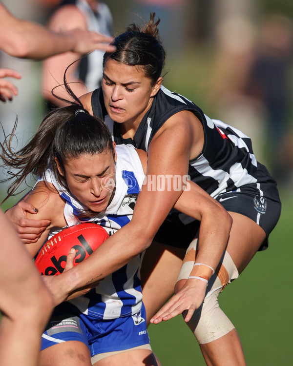 VFLW 2025 Qualifying Final - North Melbourne Werribee v Collingwood - A-61238385