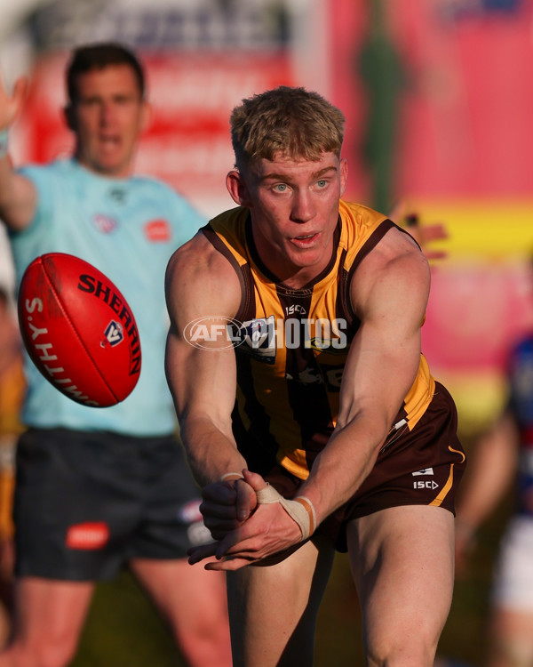 VFL 2025 Round 20 - Box Hill v Footscray - A-61238413
