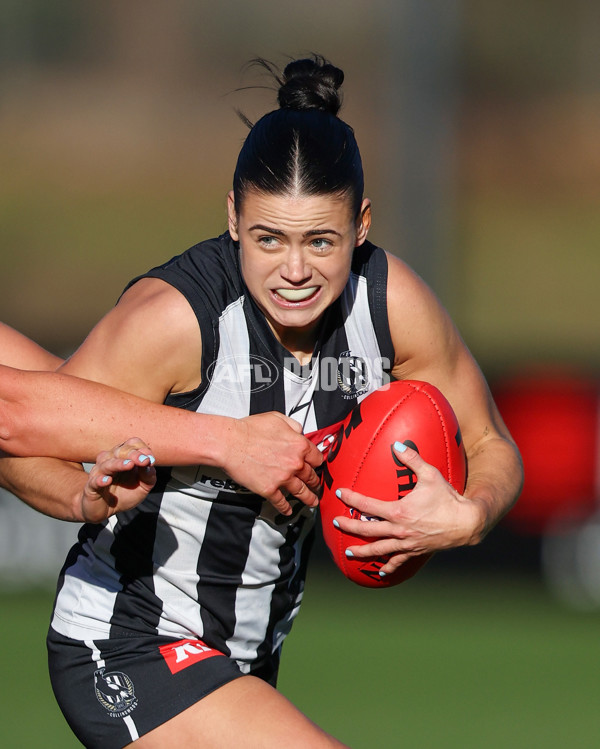 VFLW 2025 Qualifying Final - North Melbourne Werribee v Collingwood - A-61239946